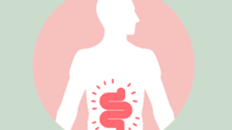 Logo IBS-kurs