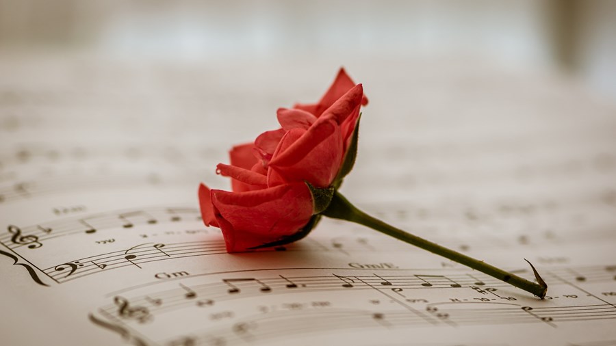 rose