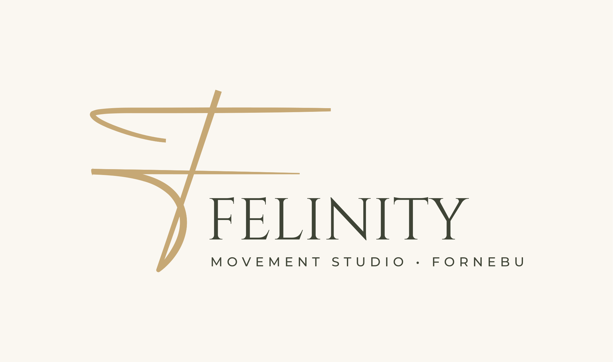 Logo Felinity