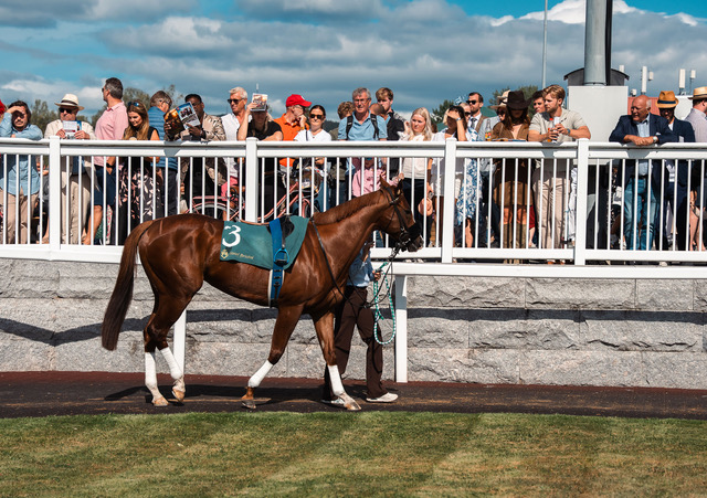 Øvrevoll Galopp AS