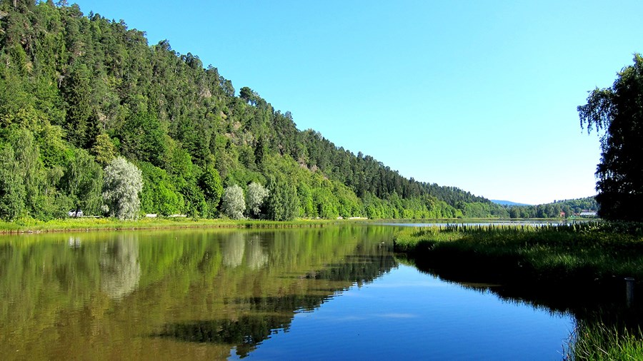 Naturvernforbundet i Bærum